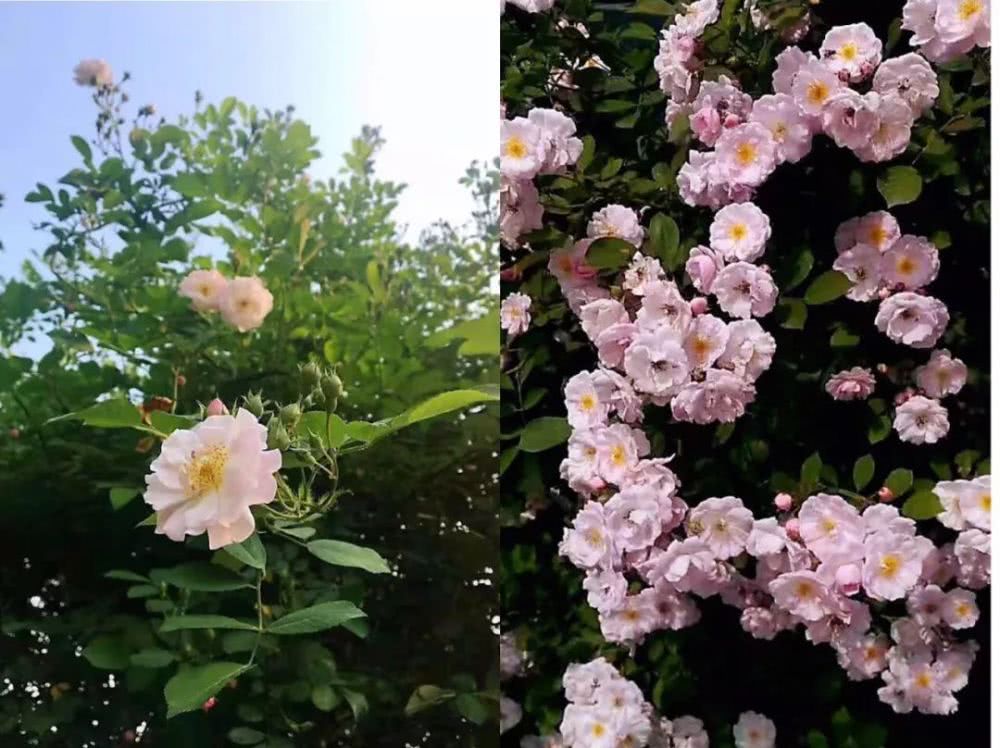  李丽：我在法庭这几年……